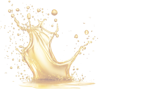 Motorolie GP Petrogen 5W30 LL (API SP) 5 liter